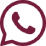 WhatsApp Icon